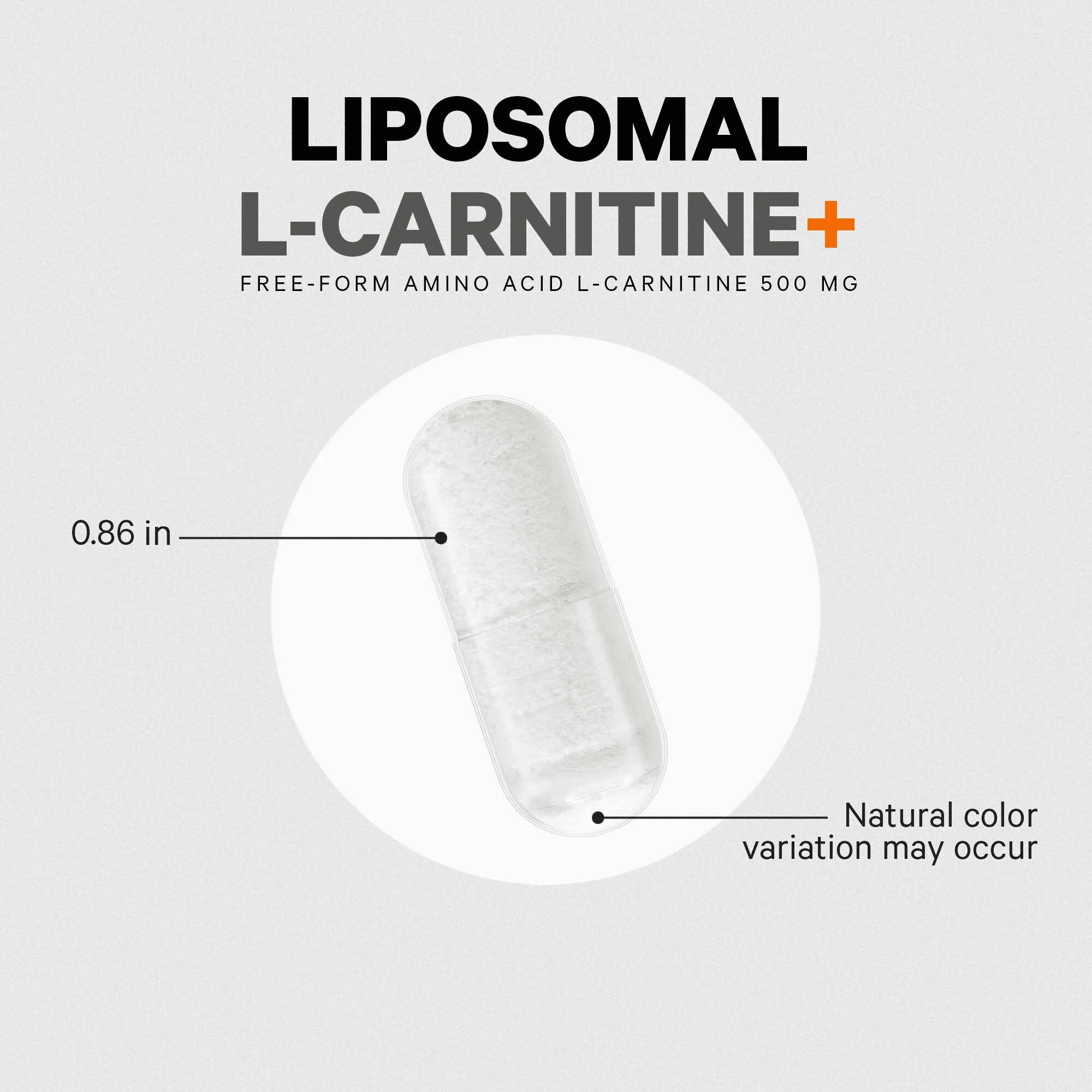 Codeage L-Carnitine  Free-Form Amino Acid Supplement